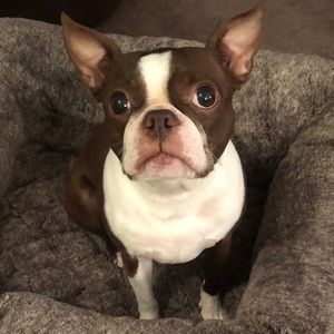 Meet your Posher, Christine